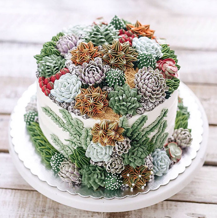 Buttercream piped succulents in muted tones of green, orange and lilac on a round chocolate cake by Ivenoven Succulent Cakes