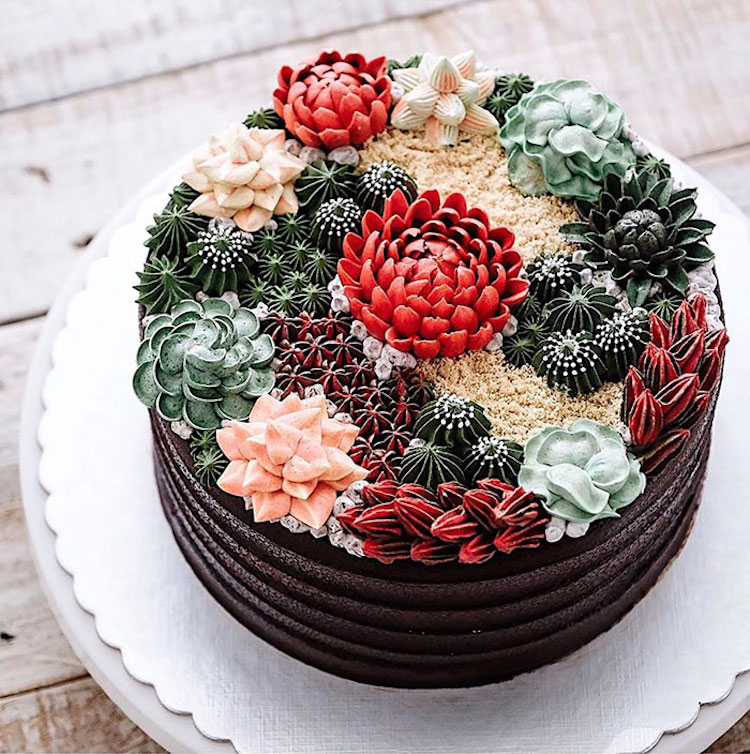 Buttercream piped succulents in deep tones of green and red on a round chocolate cake by Ivenoven Succulent Cakes