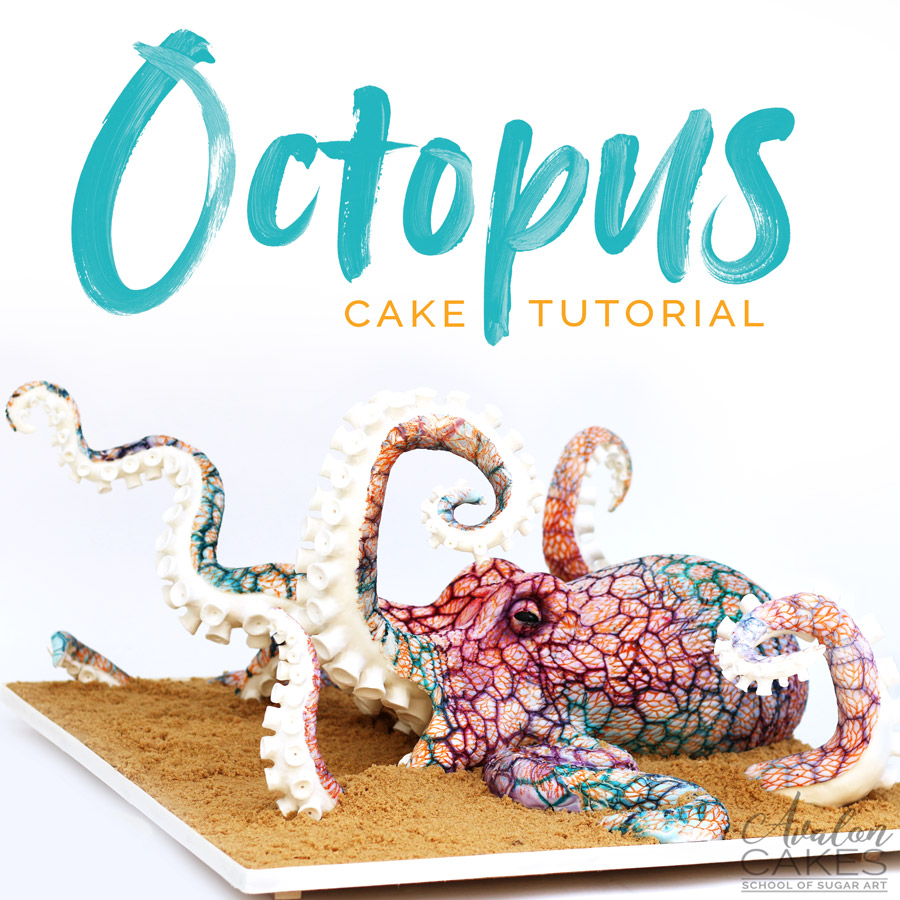 Octopus Cake Squid