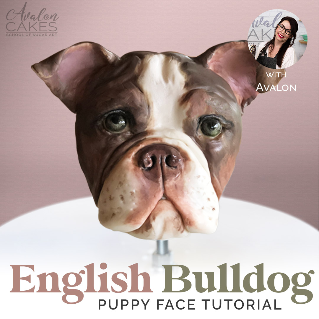 english bulldog cake